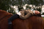 The Equestrian Belted Jacket