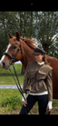 The Equestrian Belted Jacket